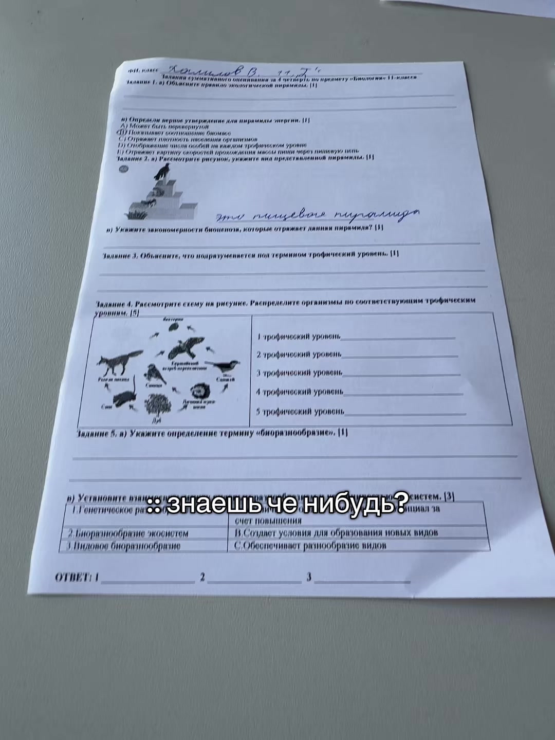 @sim_soyn_