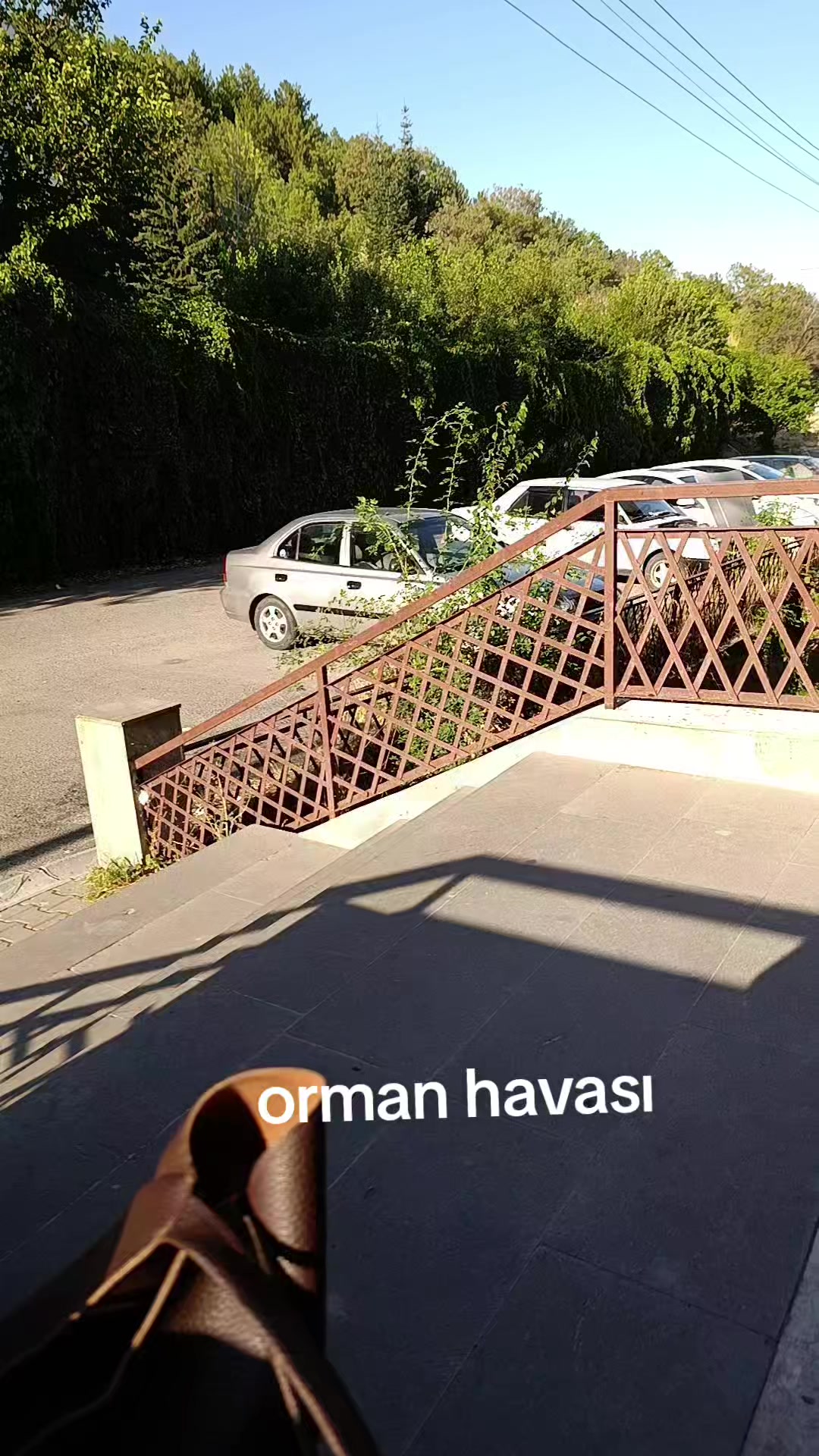 @zalimin kızı 06