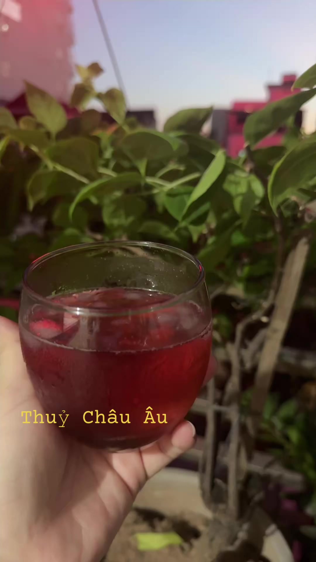@Thuỷ Châu Âu