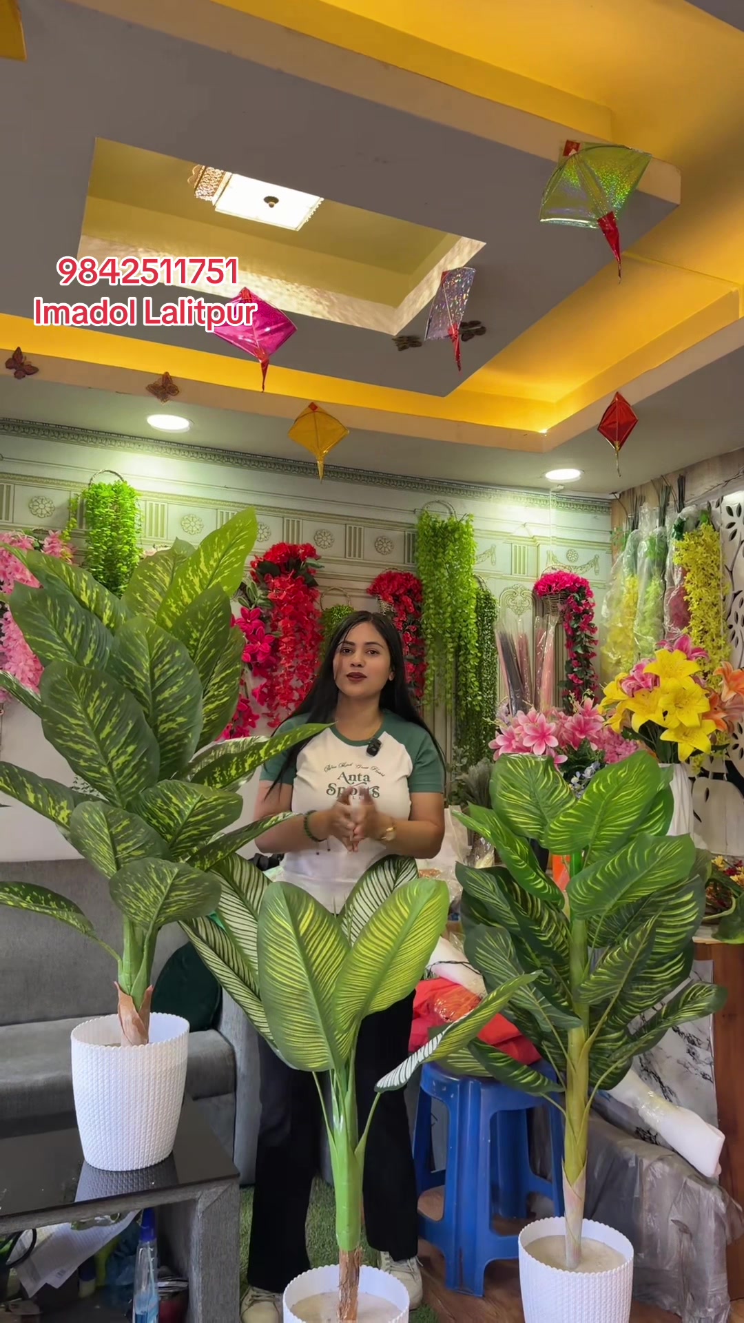 @wallpaper Dhankuta Home Deco