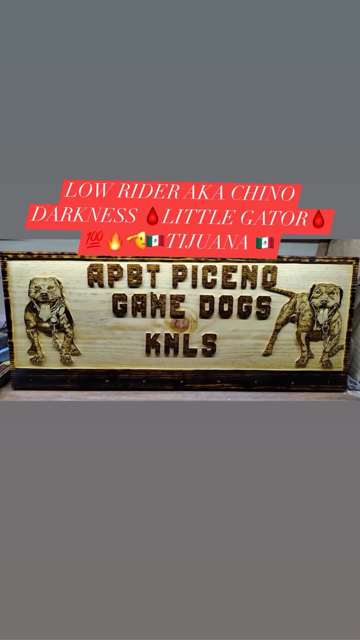 @PICENO GAME DOGS KNLS