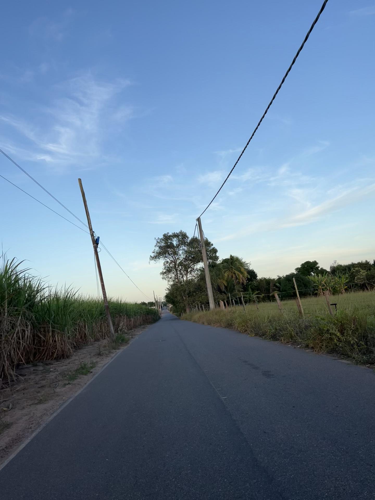 @Estevinho da roxinha💜