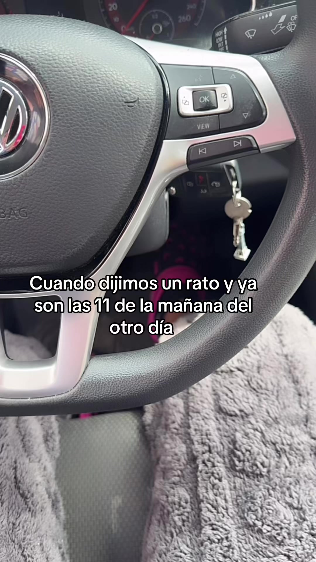 @Fernanda ZL