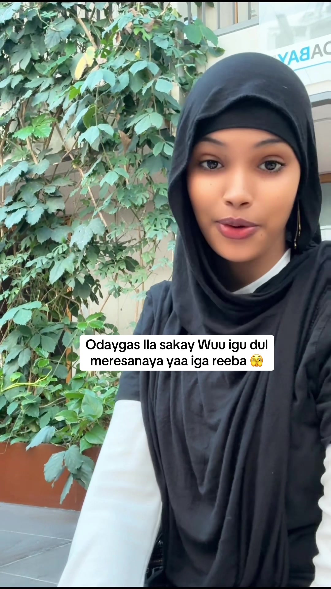 @fariida Aliii❤️
