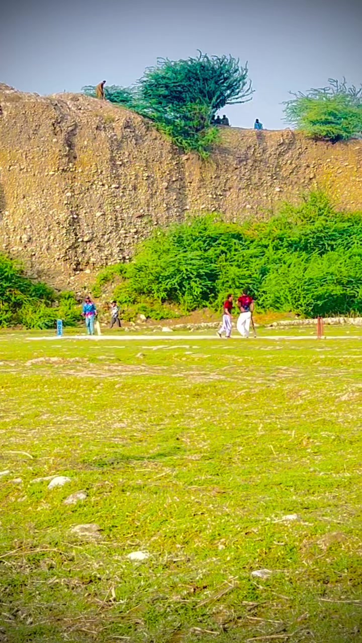 @bobali brand 🏏