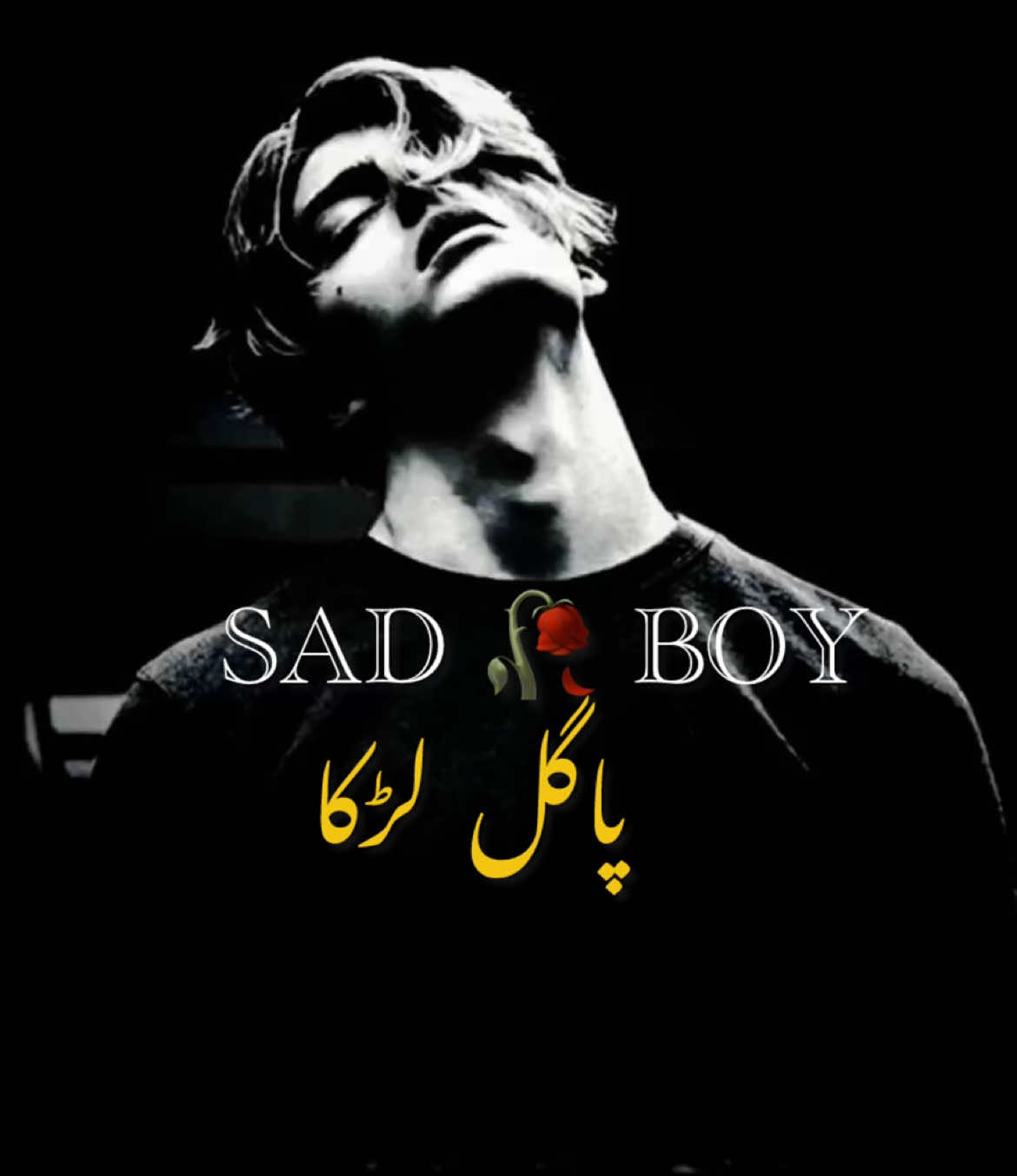 @😢 SAD BOY🎶