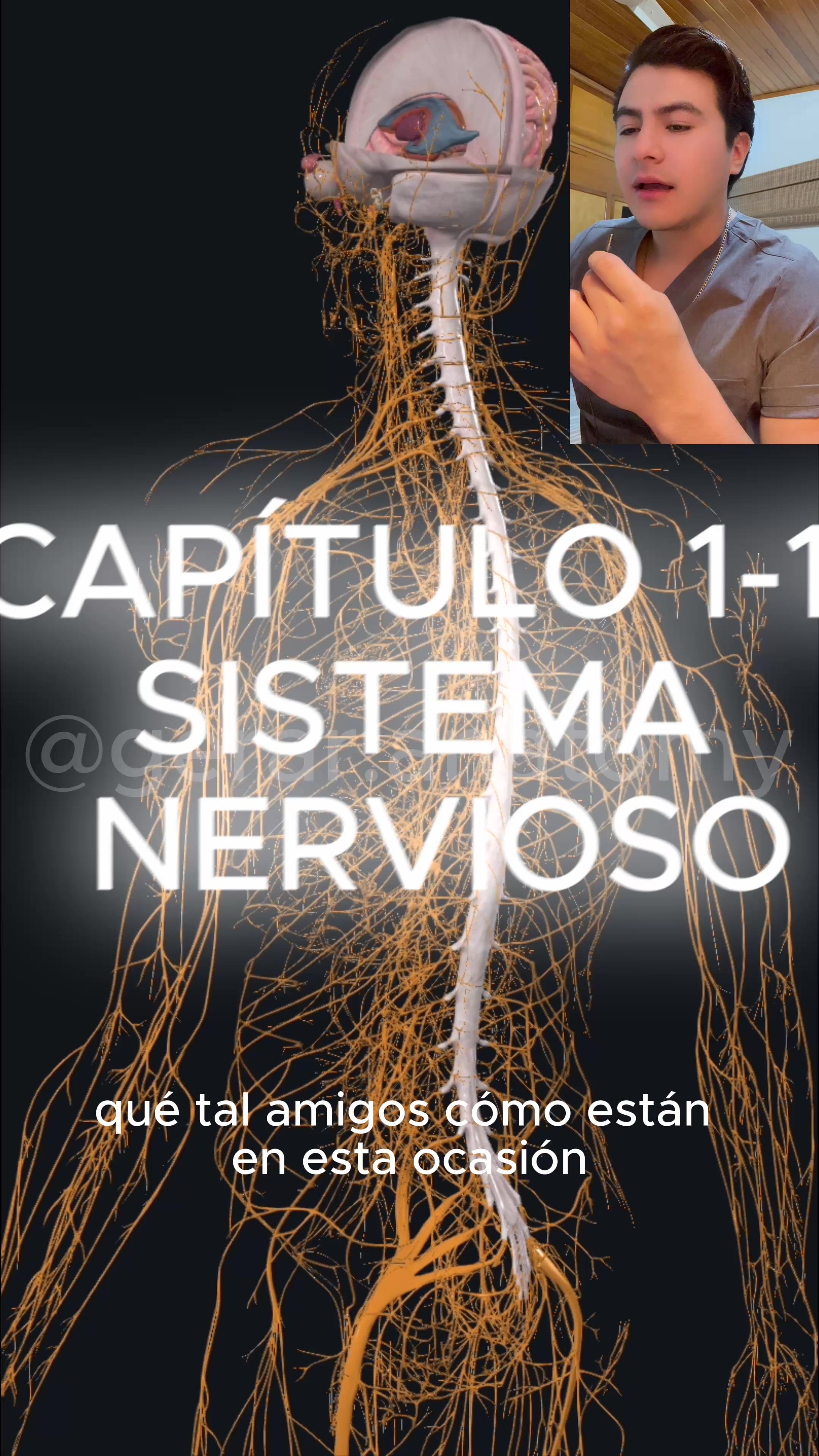 @Gerardo Montiel