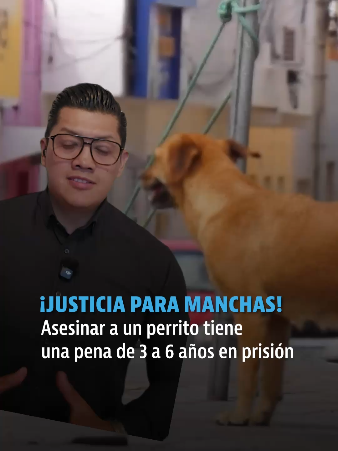 @elheraldodemexico