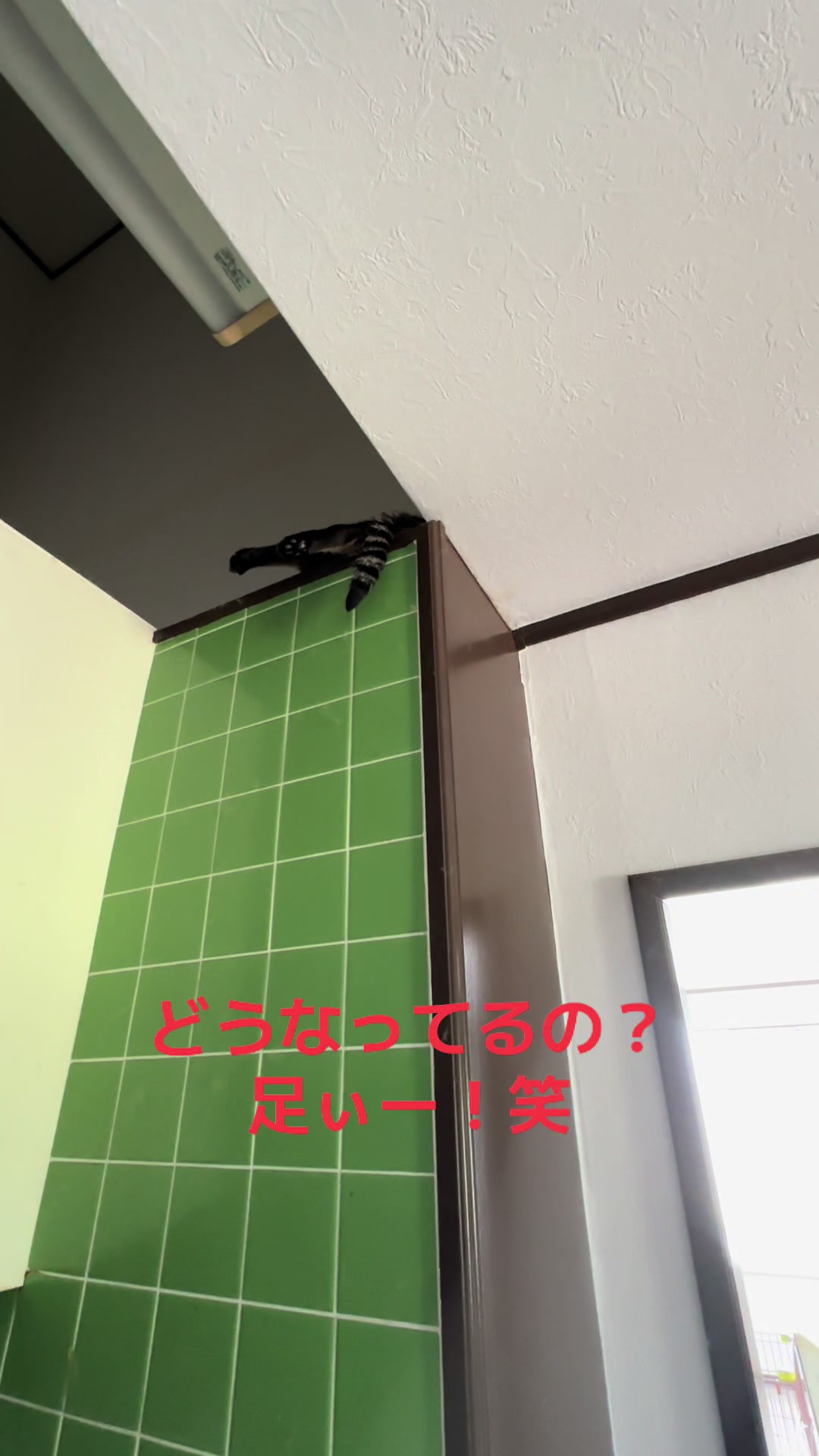 @ããããð€ð