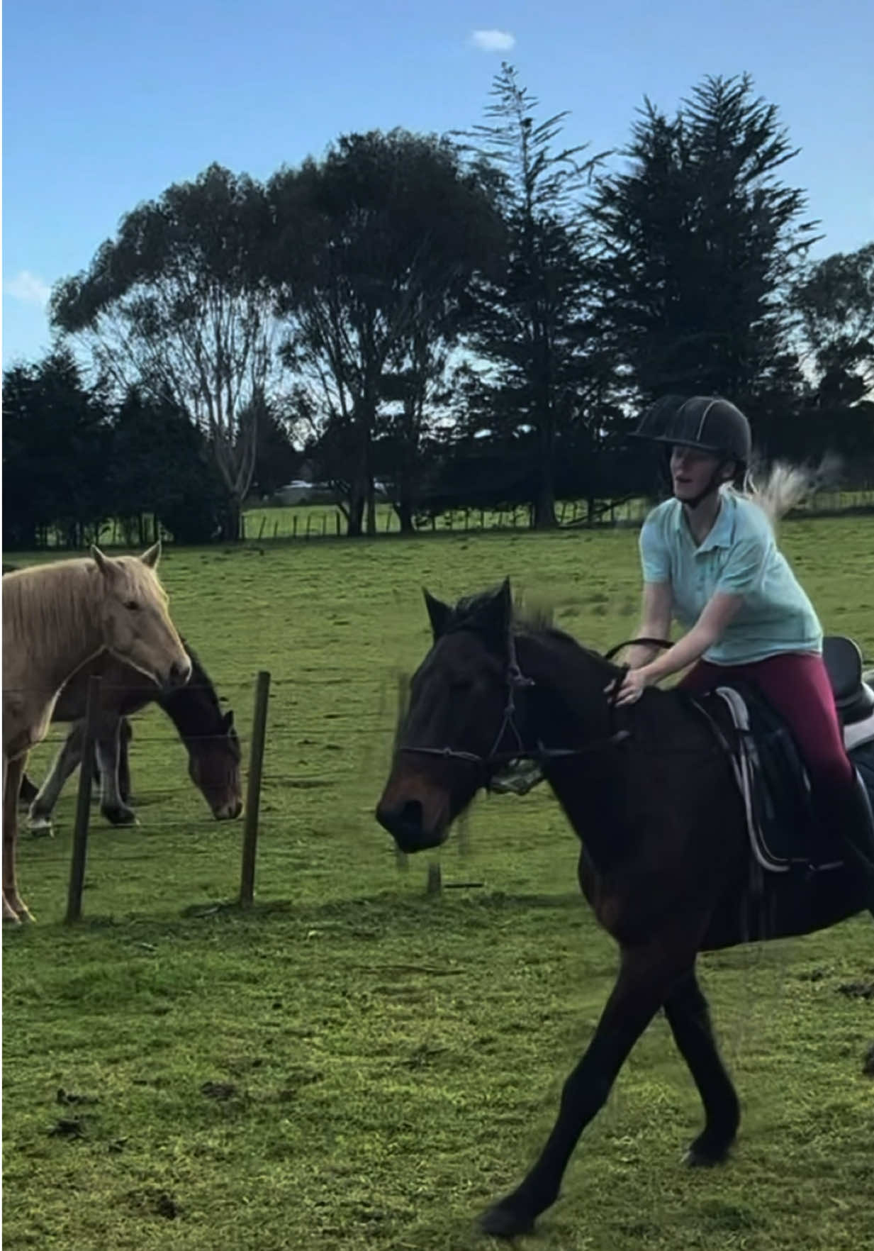 @Savanah_equestrian