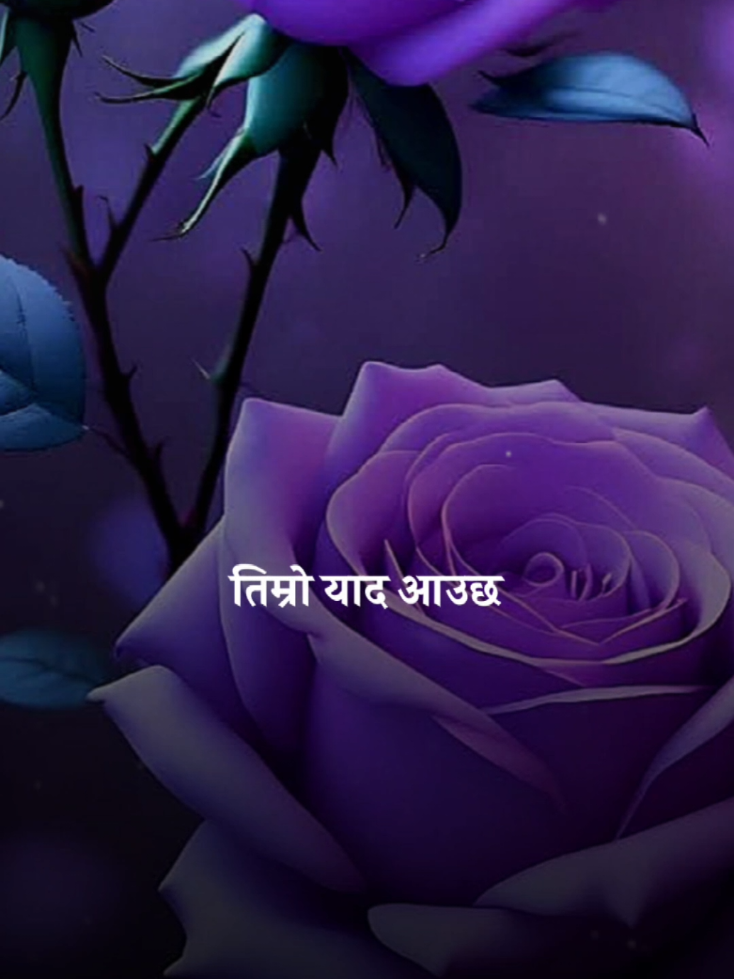 @Antaskaran Timro ra Mero