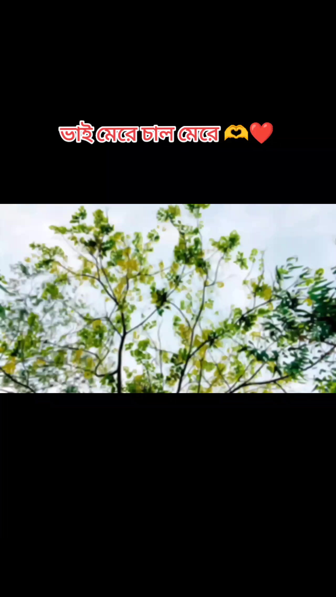 @👑VOICE OF SAKIB 💥