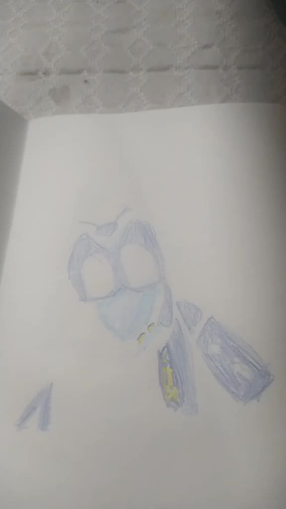 @Camí ama a Juli