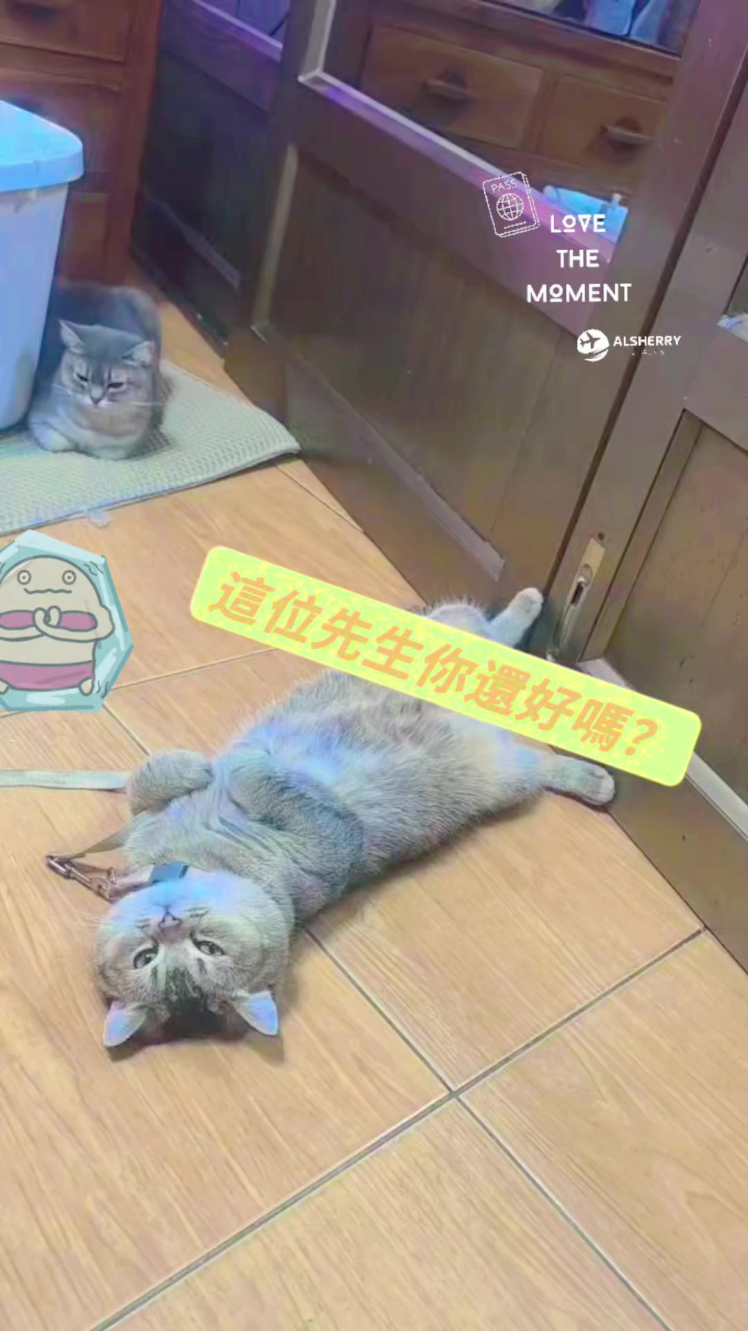 @小魚兒🍀♊獨一無二🐟🐟