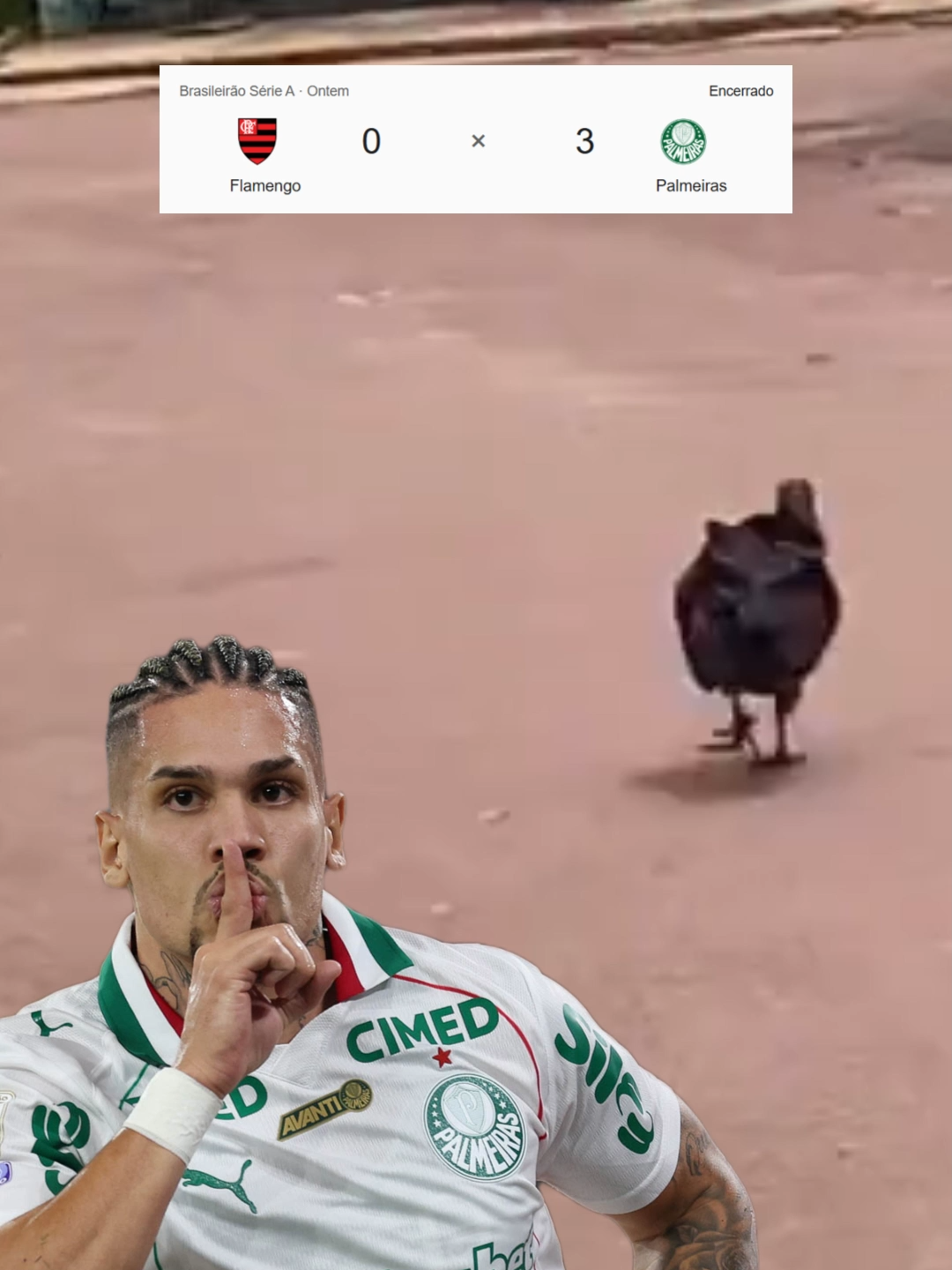 @SE Palmeiras