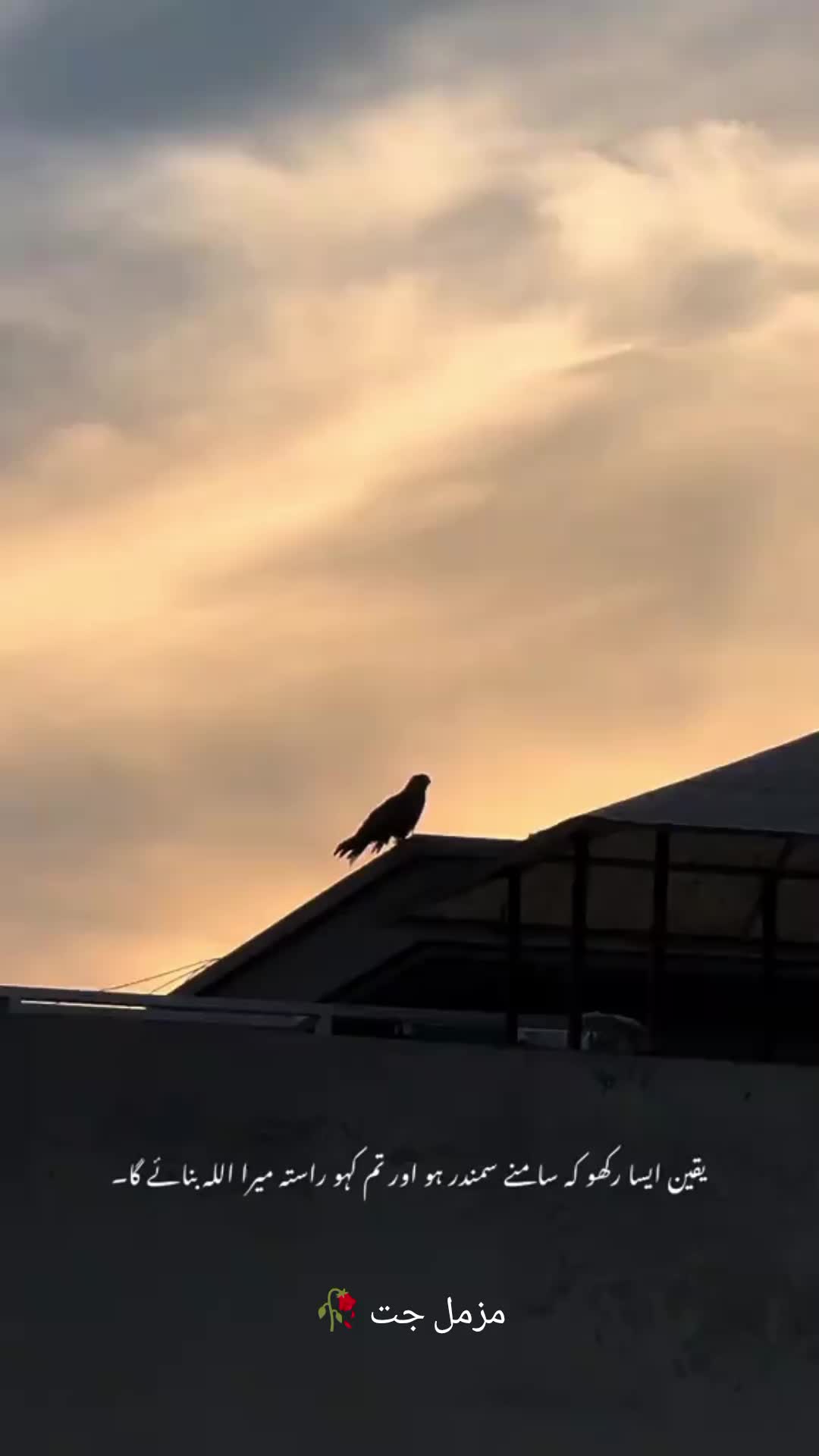 @𝑷𝑶𝑬𝑻𝑹𝒀