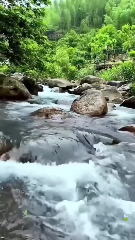 @🇹🇷TİKTOK 🇹🇷Dijital 🇹🇷