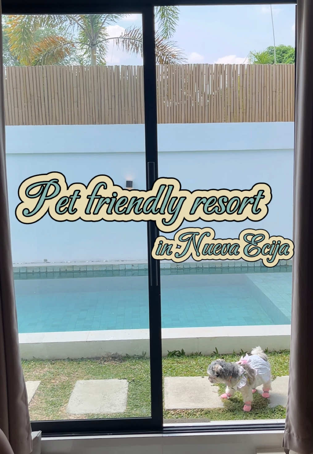 @Khazlyn ⋆。𖦹 ˚ 𓇼 ˚。⋆