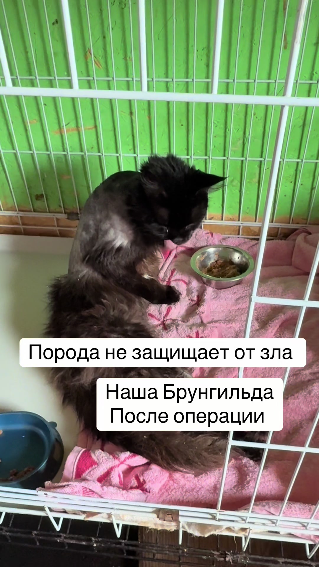 @Анна Алмазова