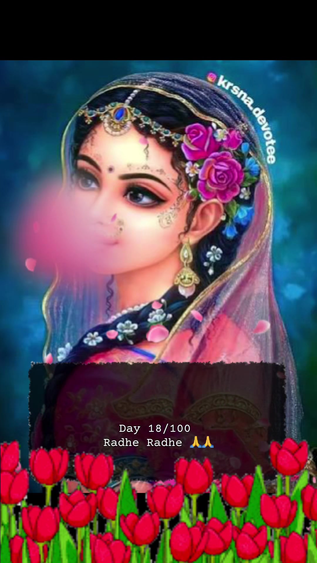 @RadheKrishna🦚🦚🙏🙏