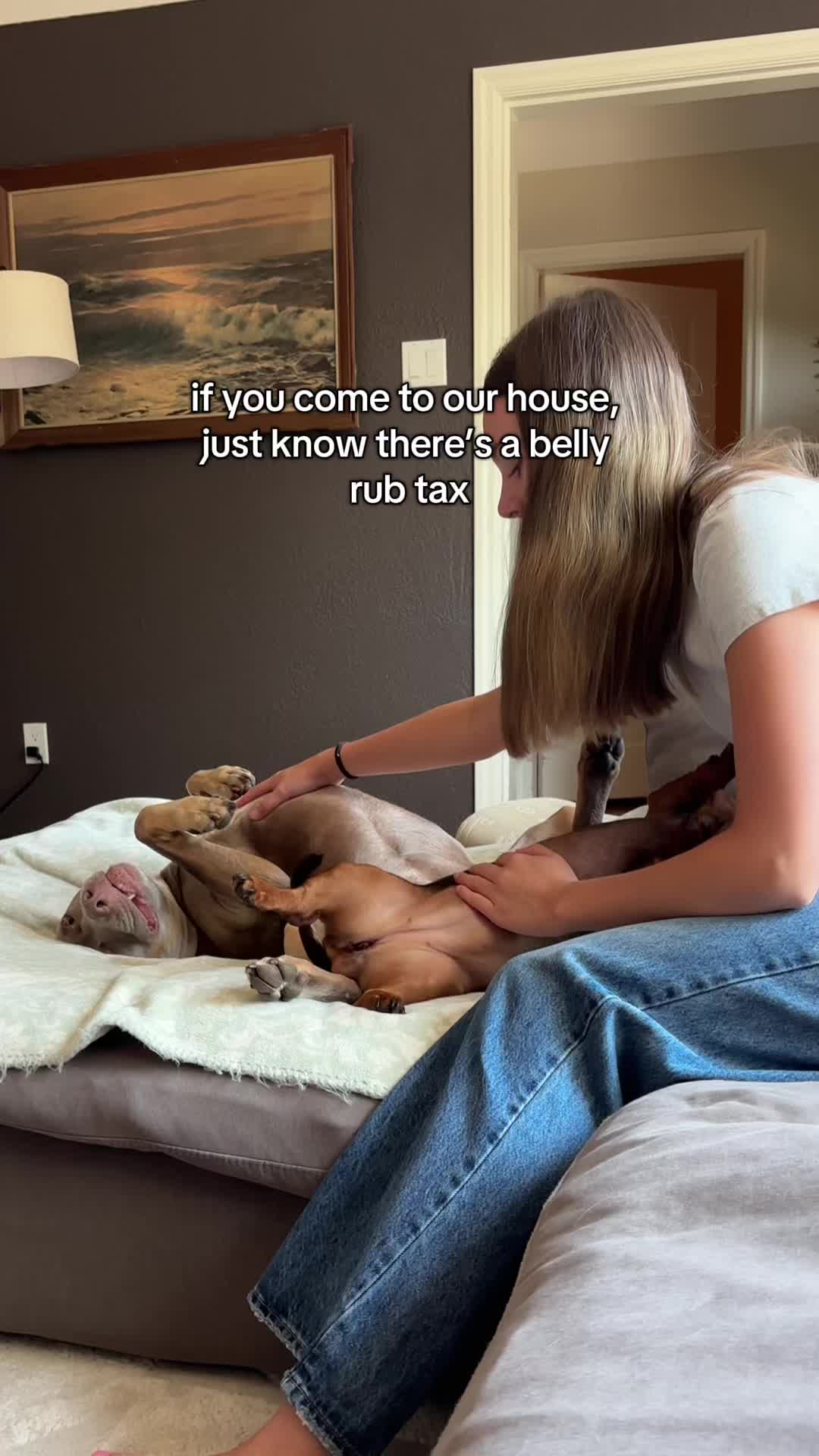 @rhubarb the doggo