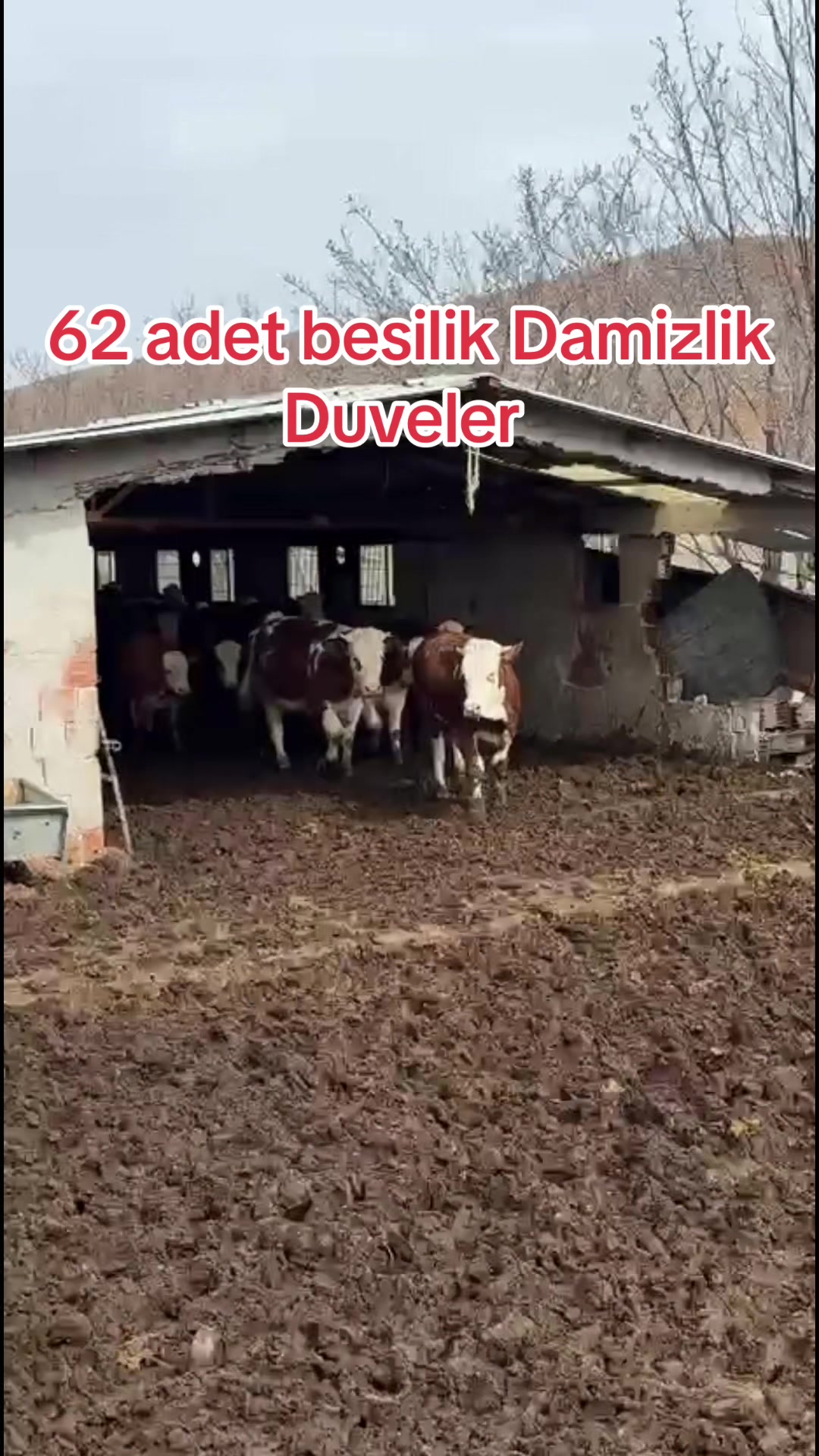 @Samed Metin