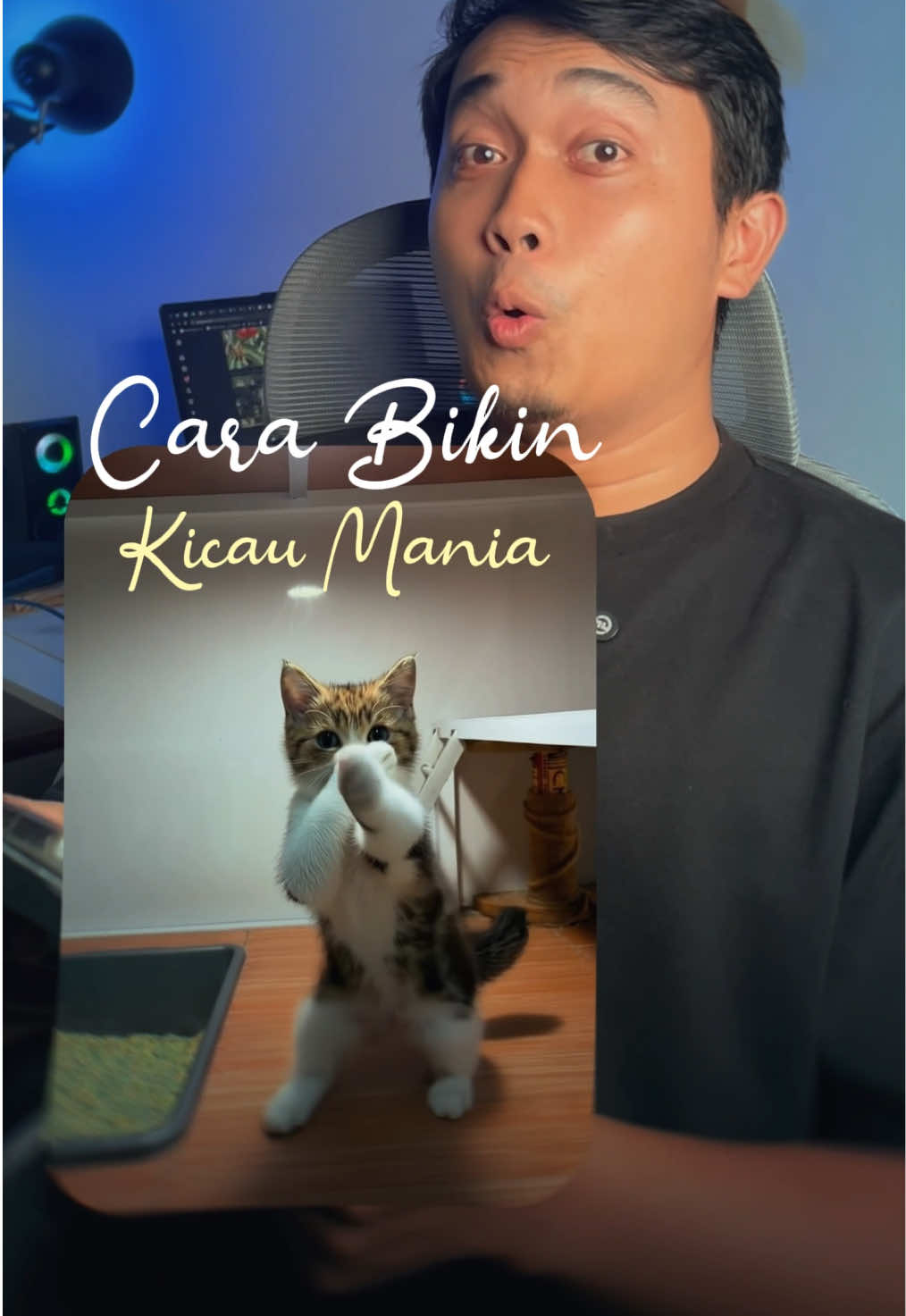 @Fikran Jabbart