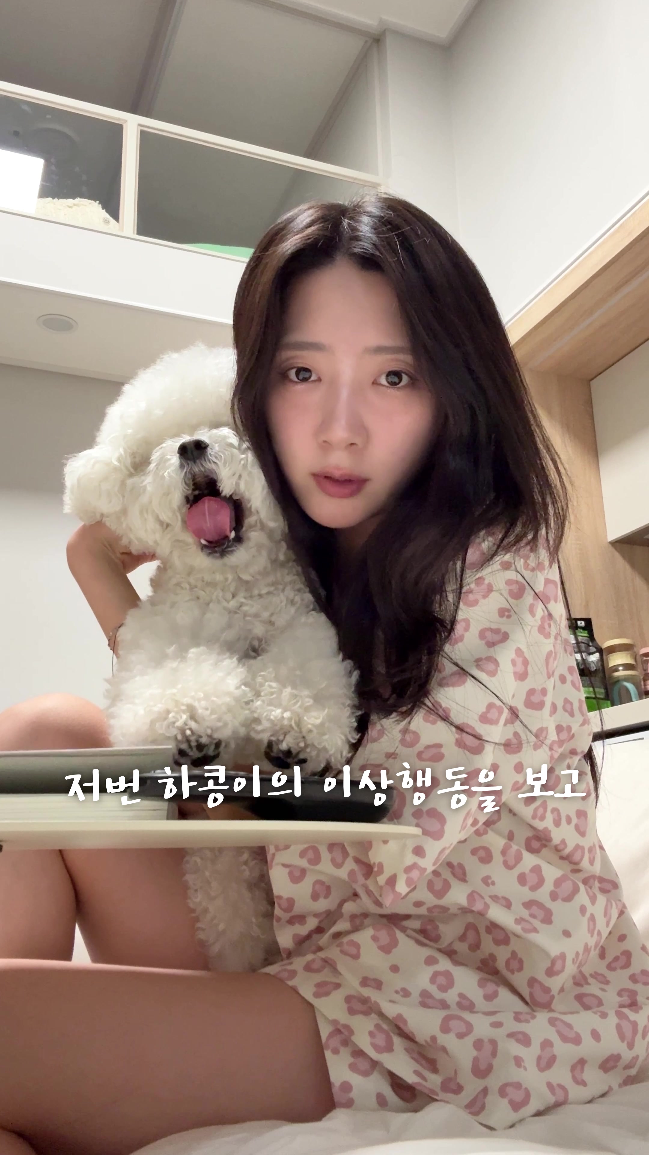 @시은니야
