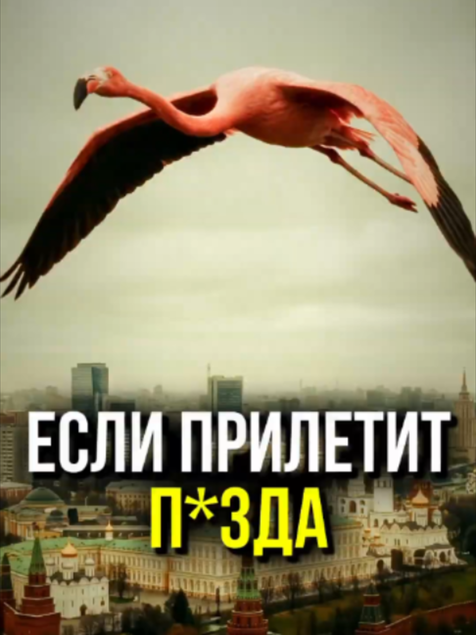 @М У Л Ь Т И Ч Е Л