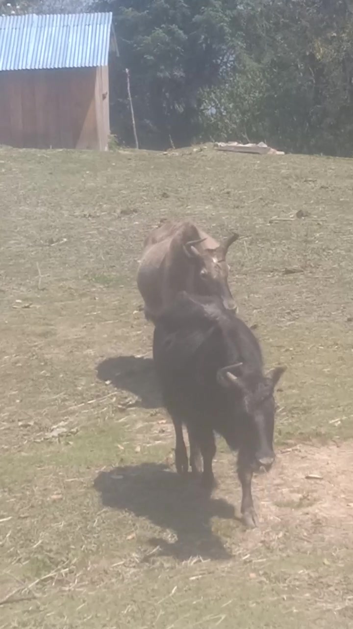 @Suraj Khadka