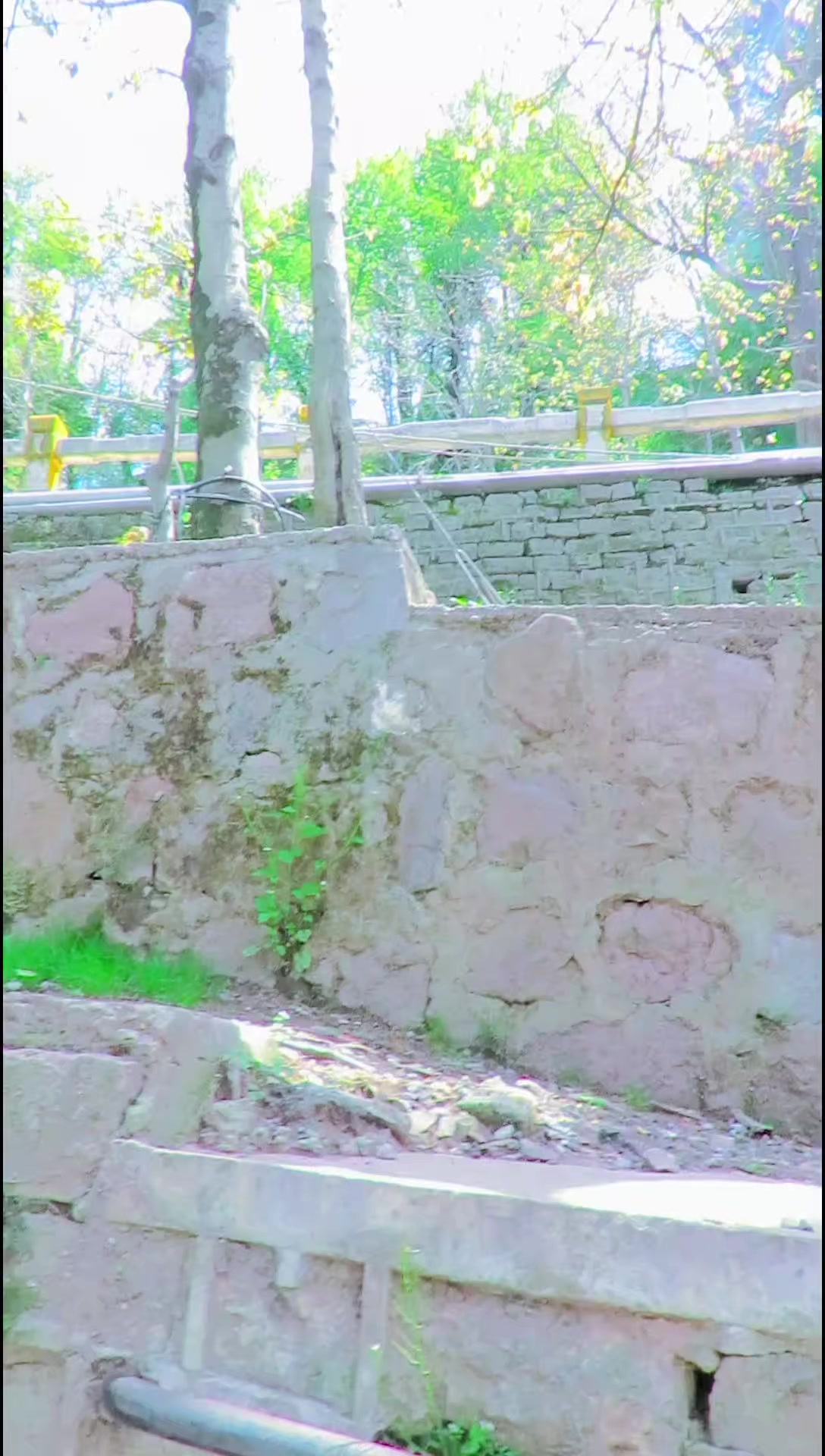 @༼ ❌↗ 𝙎𝘿𝙍.spinwal ↖ ༽❌