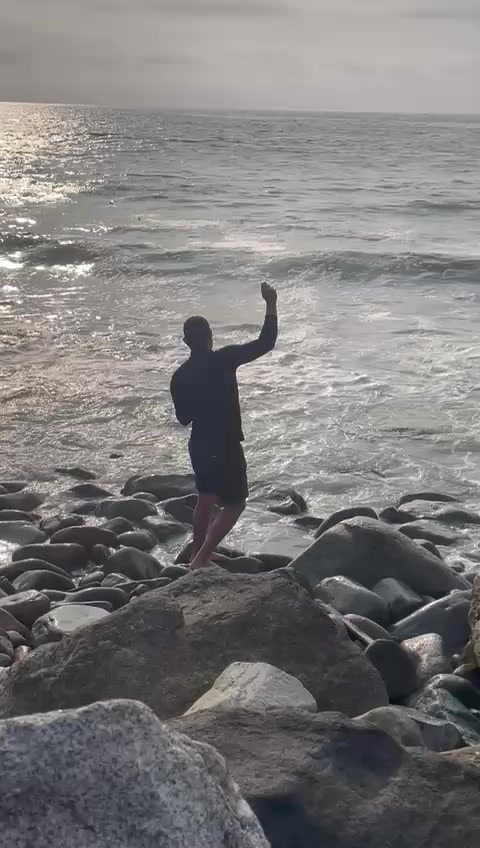 @José Zapata