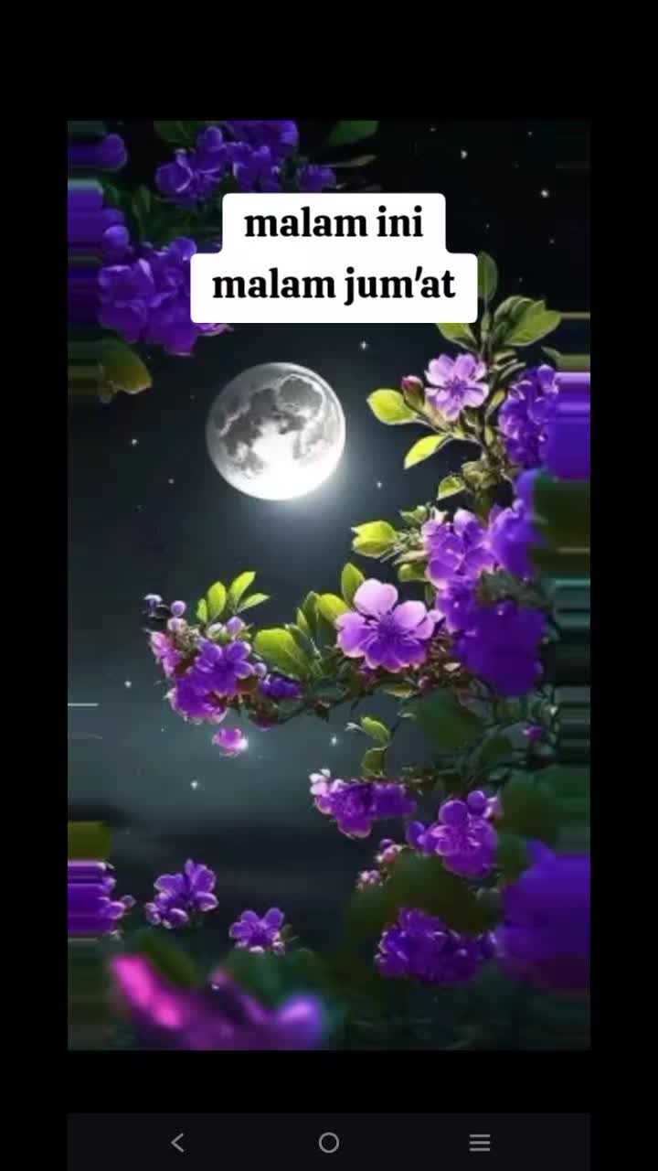 @mamioda