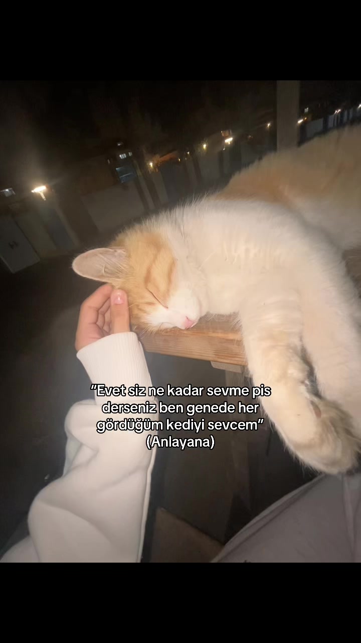 @Nurr💗