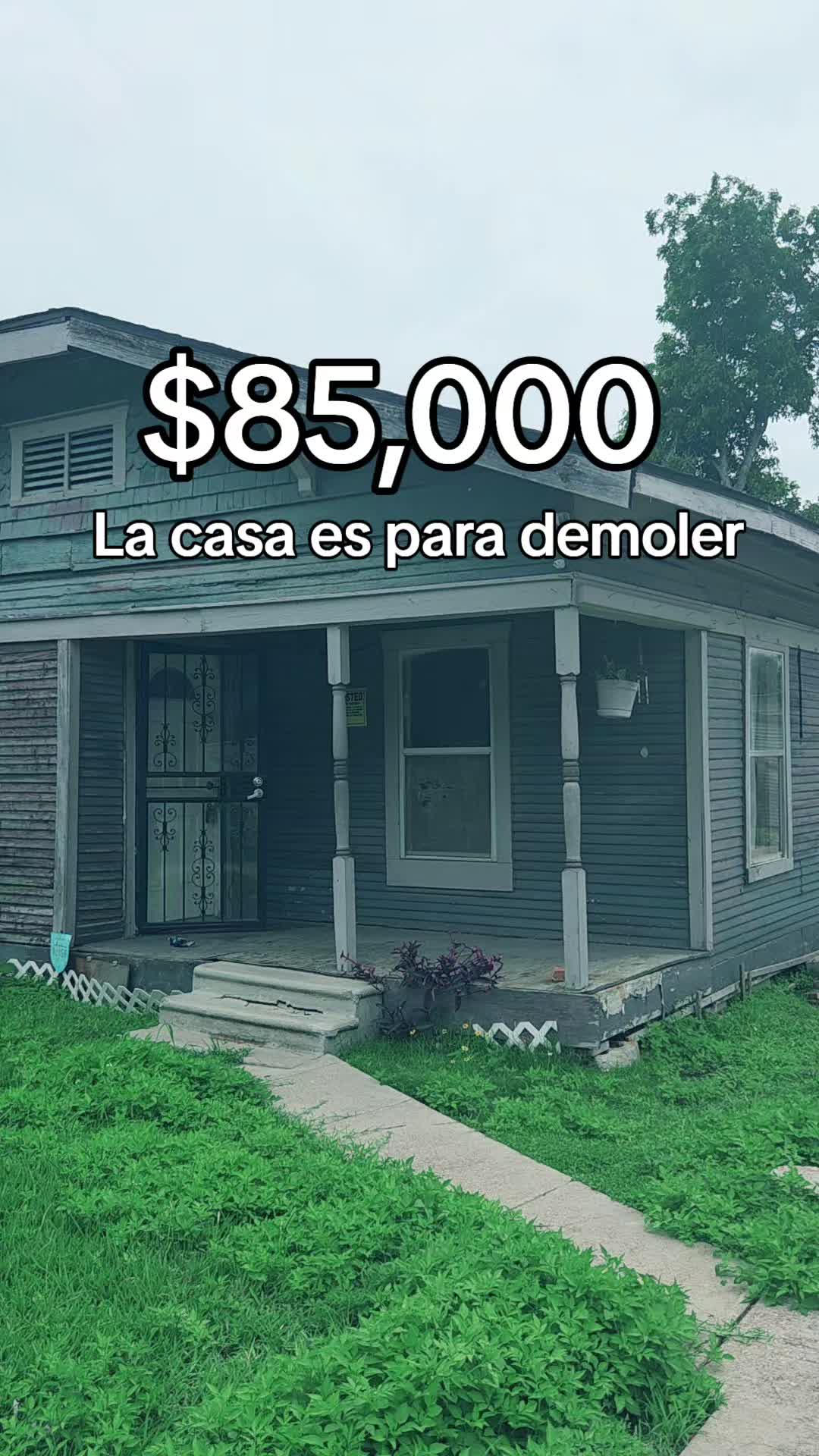 @Frank Flores
