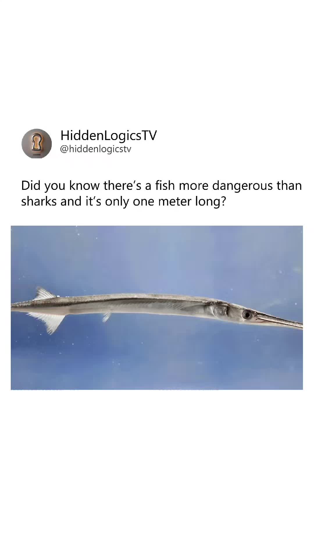 @HiddenLogicsTV