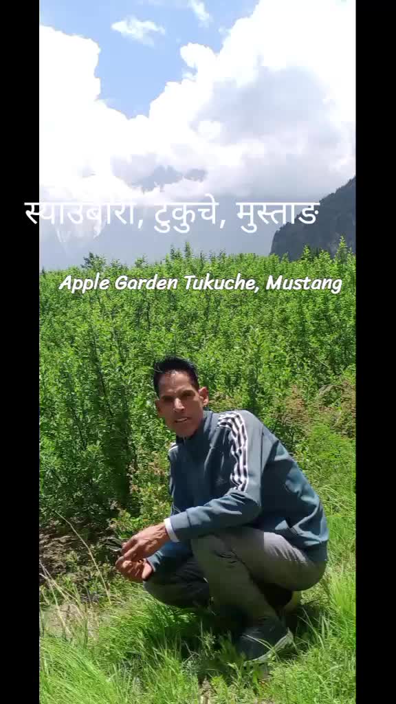 @महेन्द्र शाही