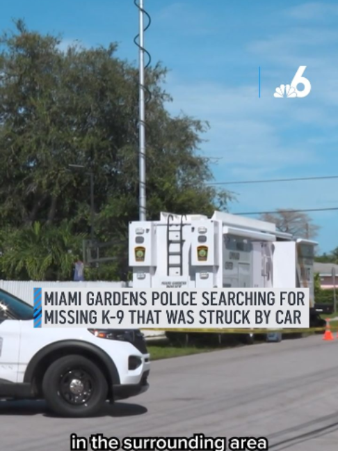 @NBCSouthFlorida