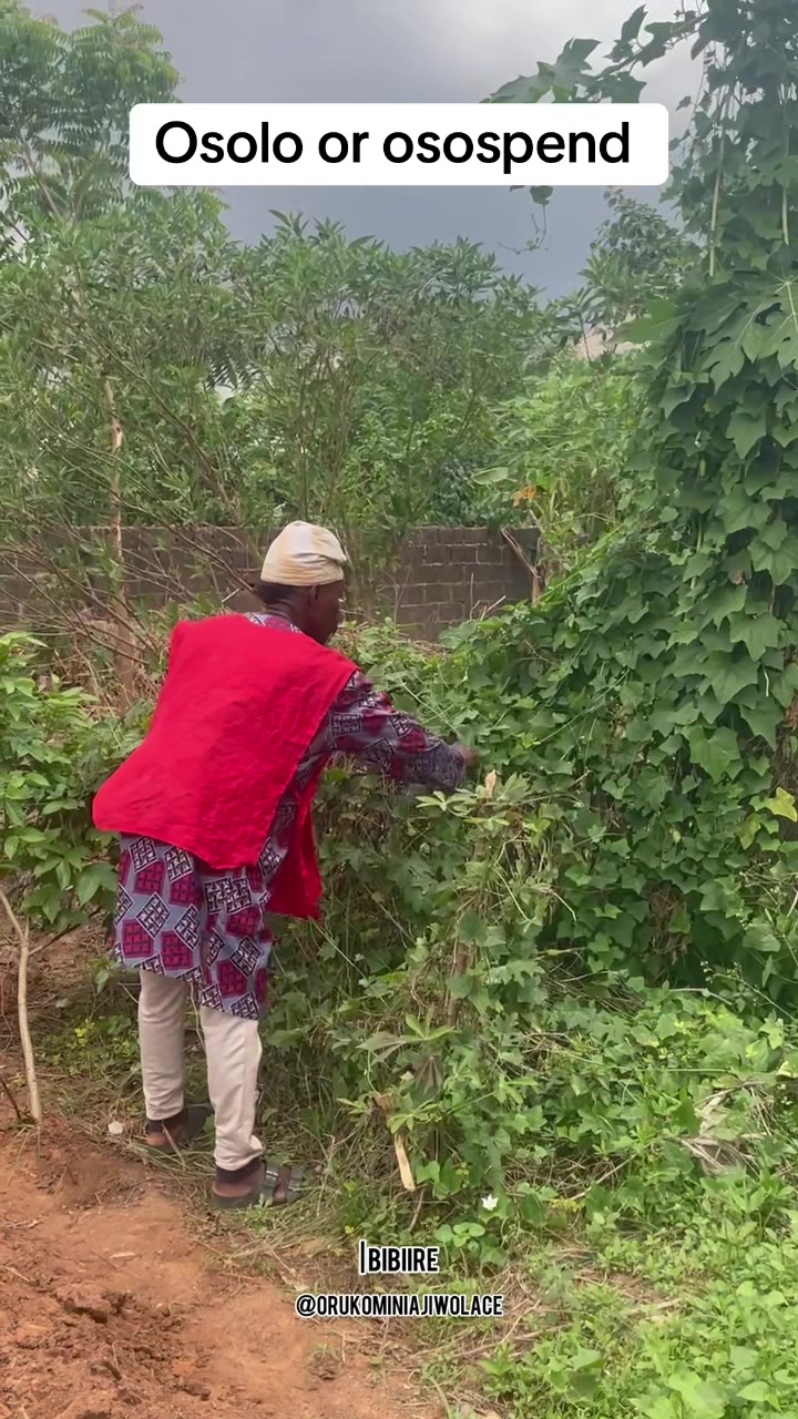 @orukominiajiwolace