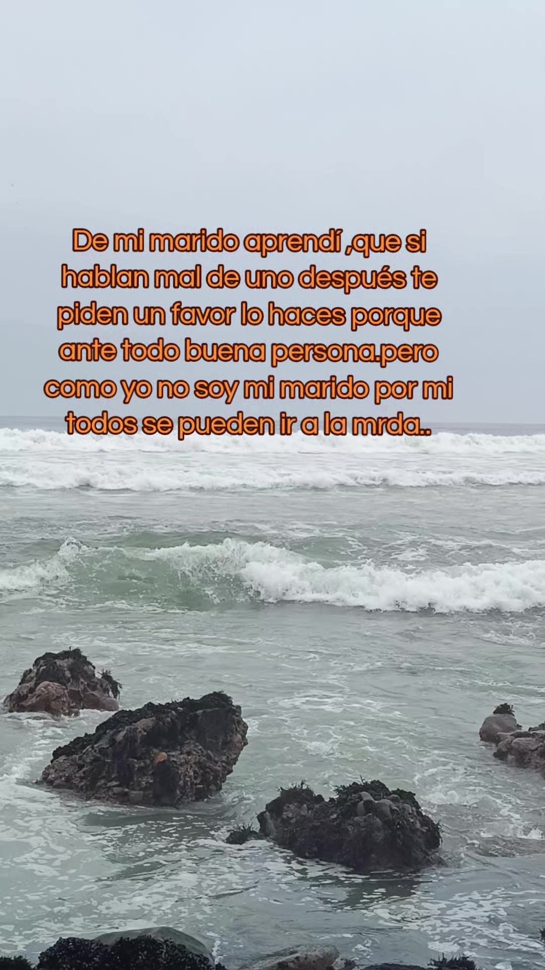 @💊QC💙LILI🌟🌝