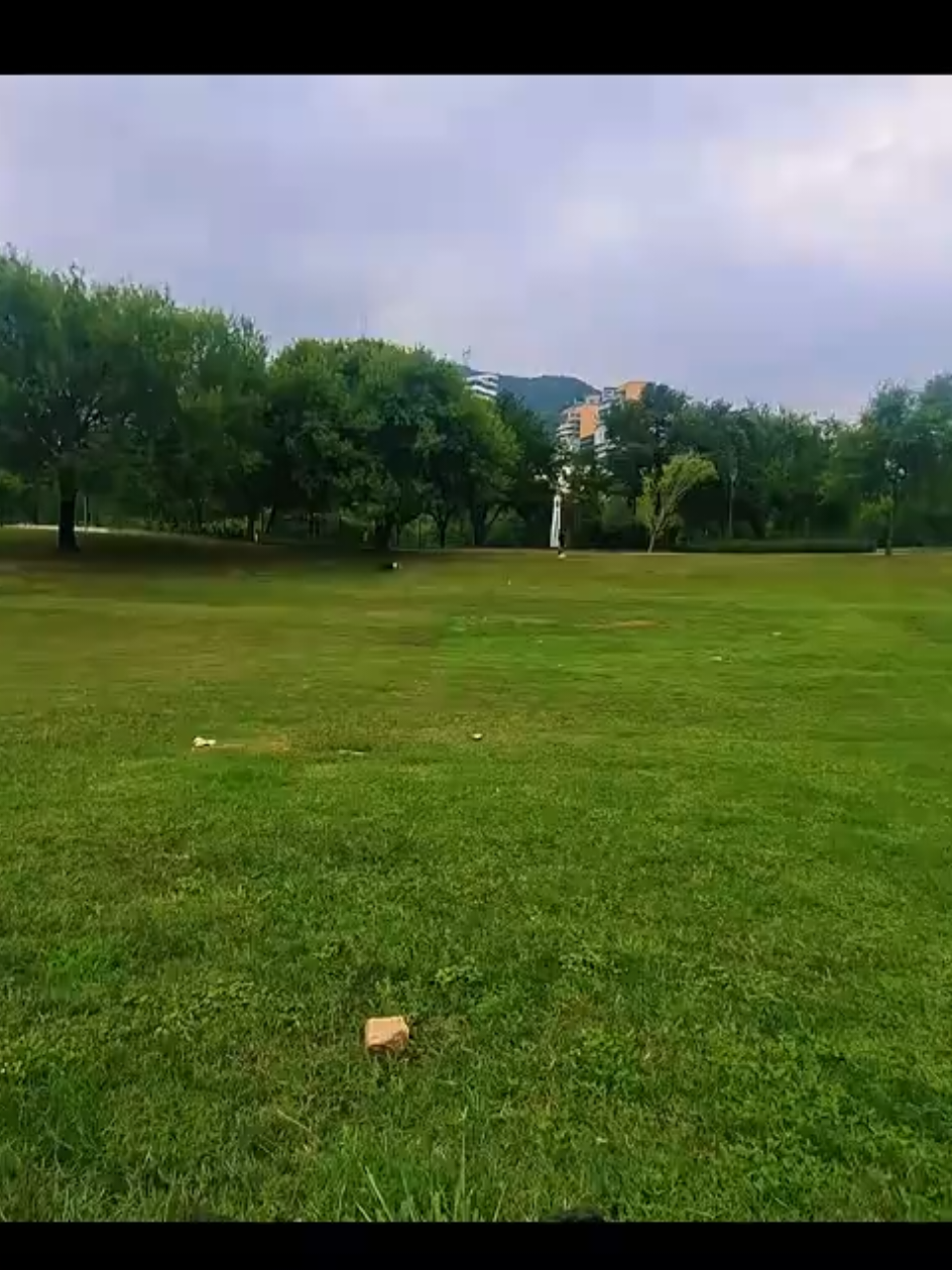 @Búhodermia... 🥀