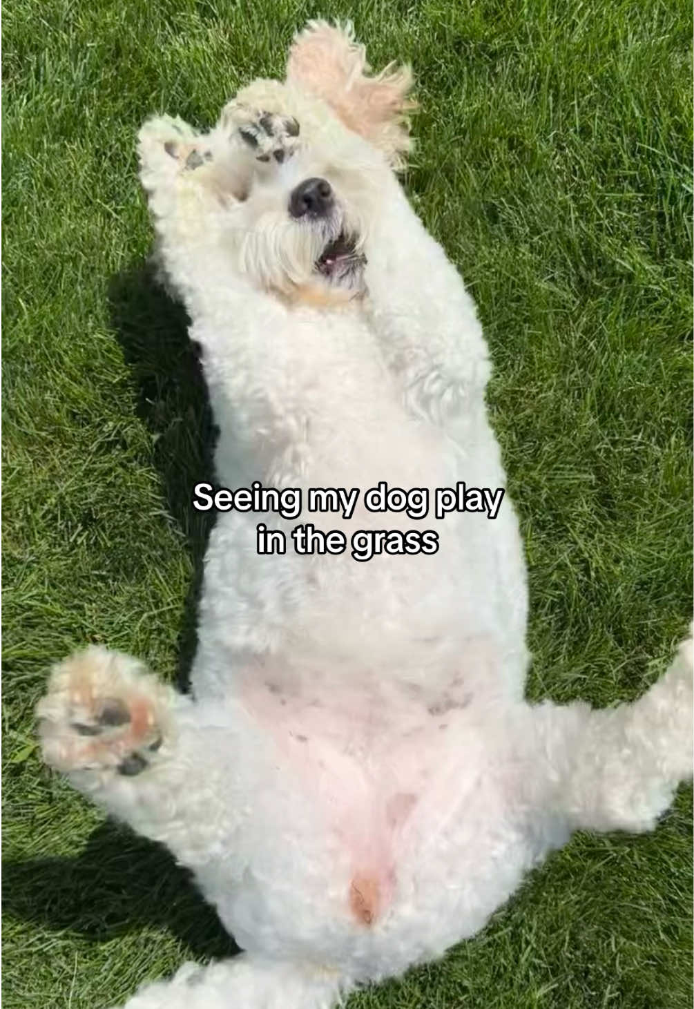 @T A Y L O R