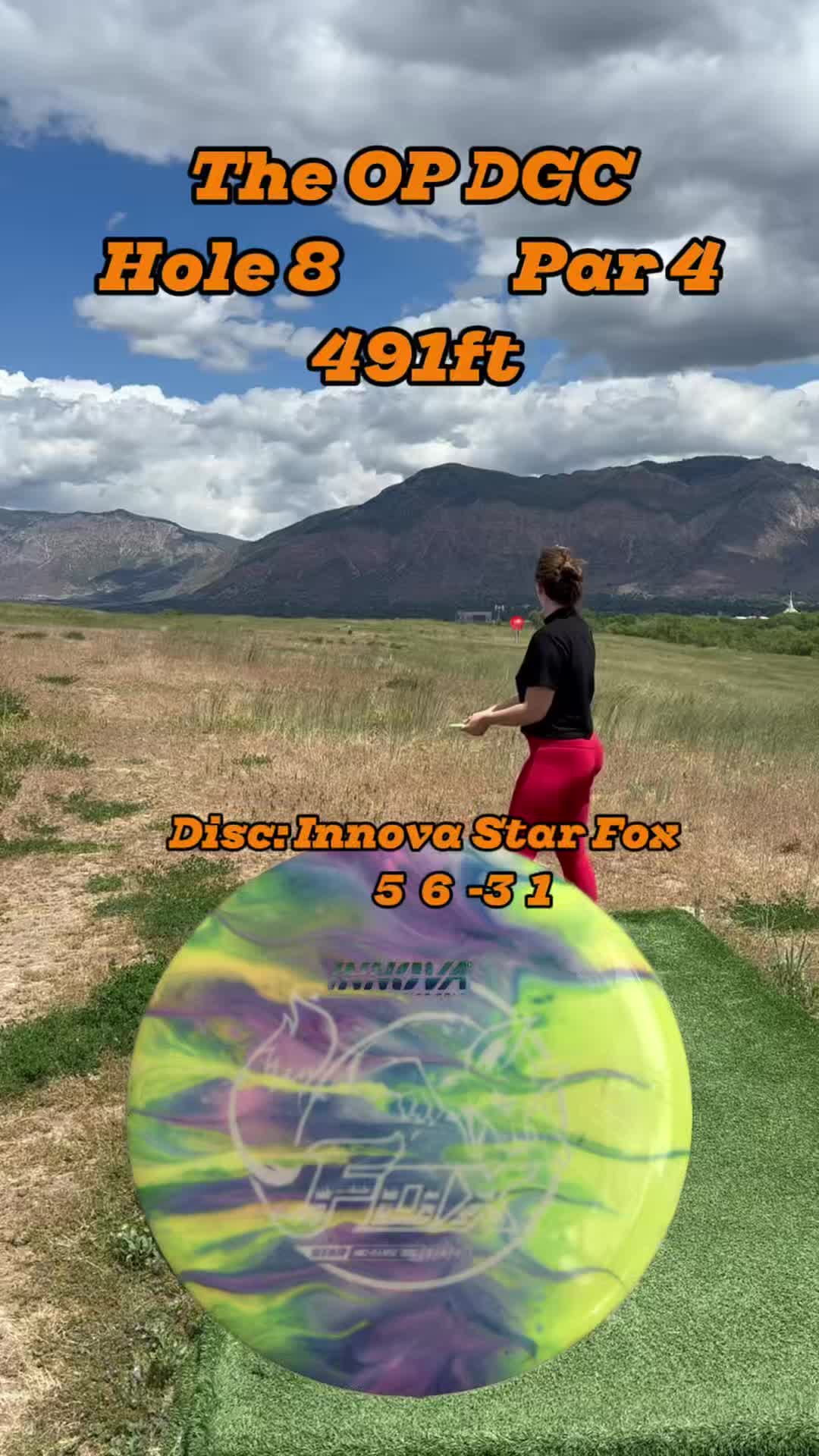 @HoustonWeHaveDiscGolf