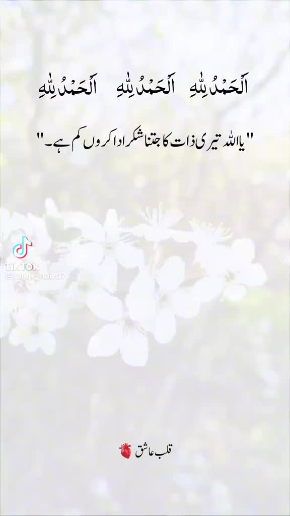 @Mohammed rauf assalamu 🤟🤟