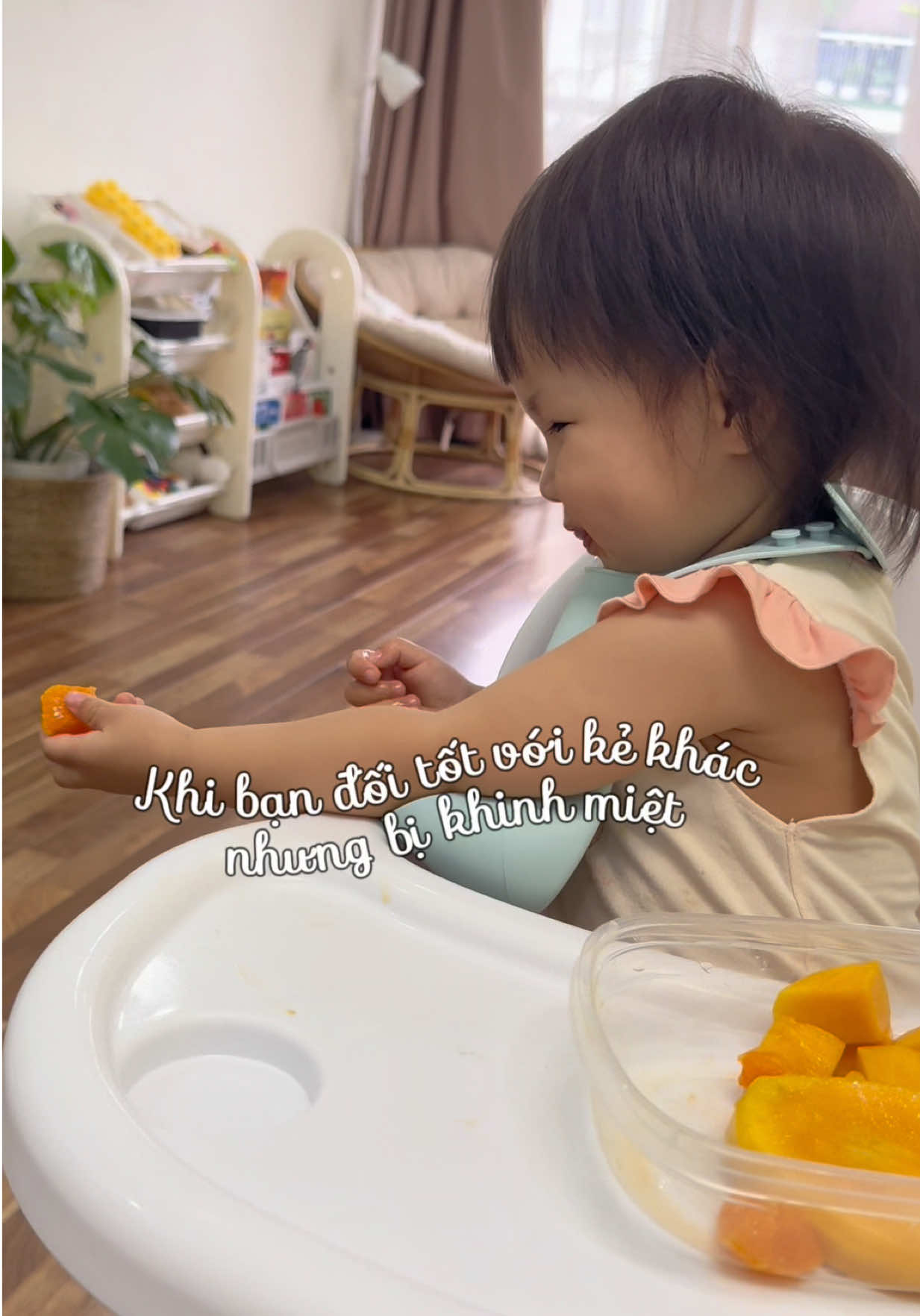@Gia&ensp;Đ&igrave;nh&ensp;C&aacute;&ensp;Cua