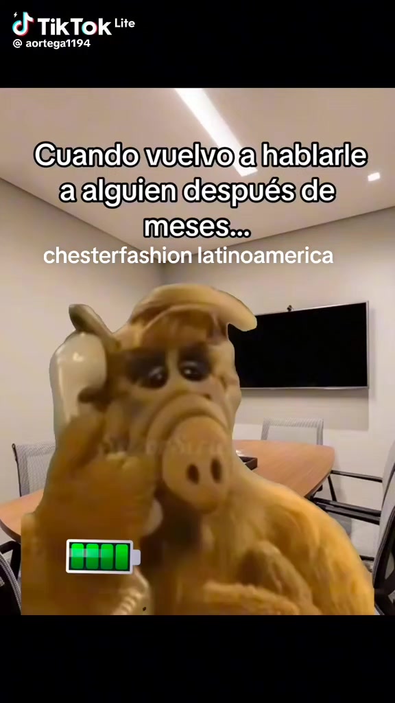 @Chester fashion latinoamerica