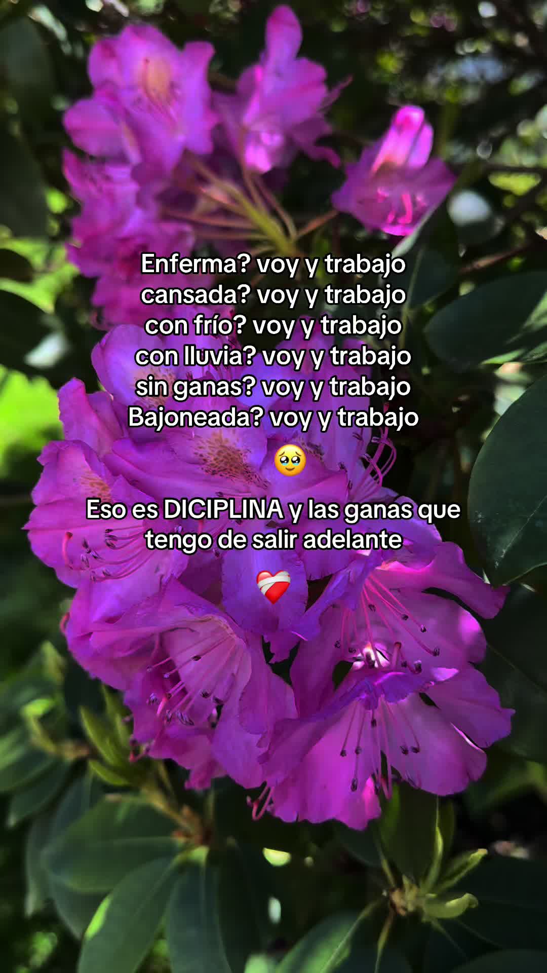 @Melany🎀