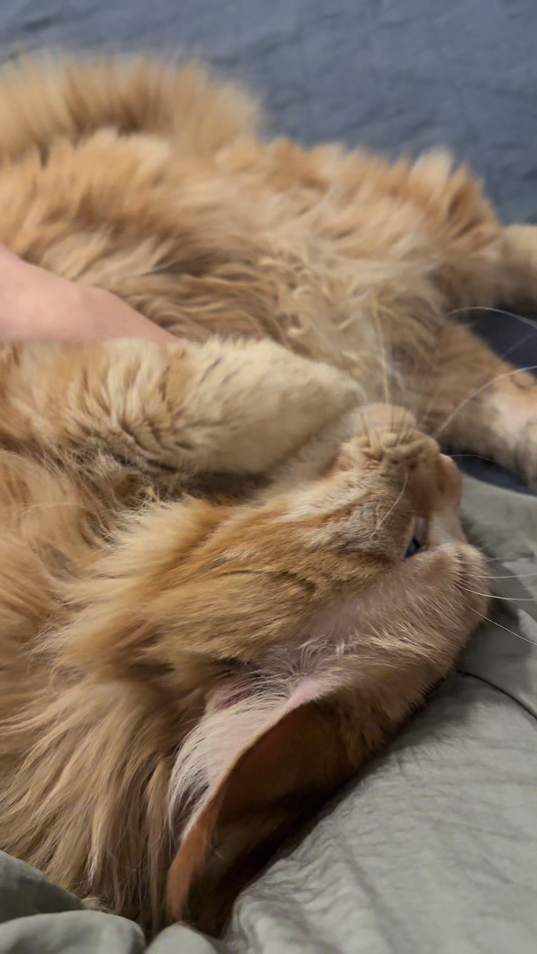 @Оксана