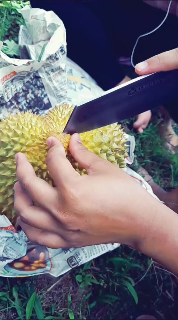 @⠀ ⠀ ⠀᠌