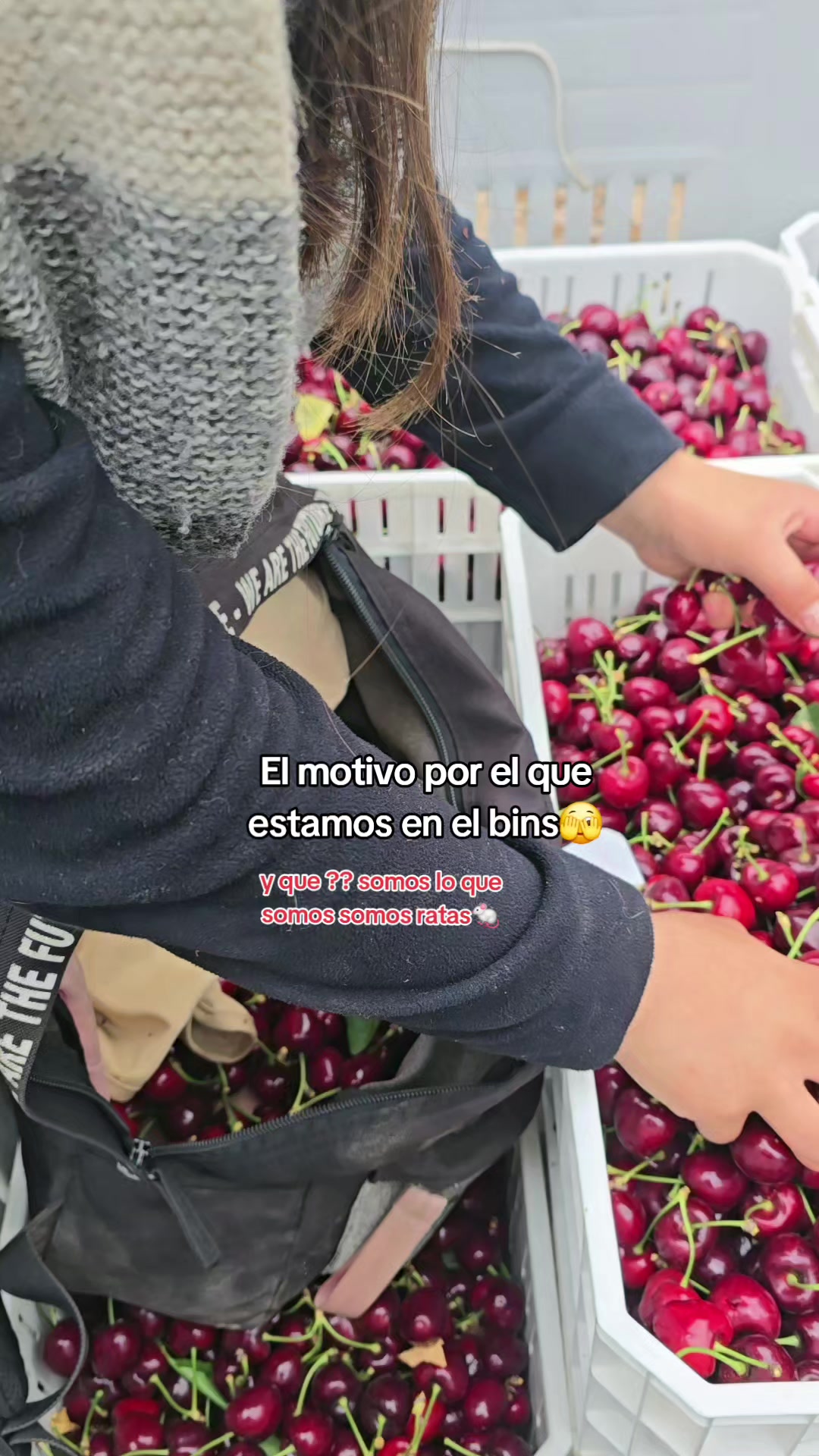 @Dainita🥰